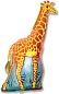 Шар (47''/119 см) Фигура, Жираф, Оранжевый, 1 шт.