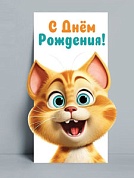 Конверты для денег, С Днем Рождения! (рыжий кот), 8,4*17,2 см, 10 шт.