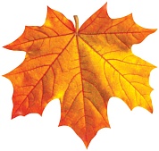 Украшение на скотче Осенний набор, Кленовый лист, 25*25 см, 10 шт.