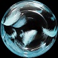 Шар (20''/51 см) Сфера 3D, Deco Bubble, Бирюзовые перья, Прозрачный, 1 шт.