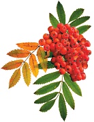 Украшение на скотче Осенний набор, Рябина, 25*25 см, 10 шт.