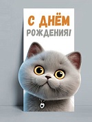 Конверты для денег, С Днем Рождения! (котик), 8,4*17,2 см, 10 шт.