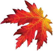 Украшение на скотче Осенний набор, Яркие листья, 25*25 см, 10 шт.