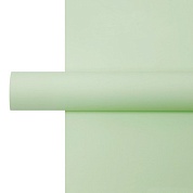 Упаковочная пленка 65мкр (0,57*10 м) Однотонная, Светло-зеленый, Матовый, 1 шт.