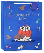 Пакет подарочный, Волшебная школа, Синий, 23*18*10 см, 1 шт.